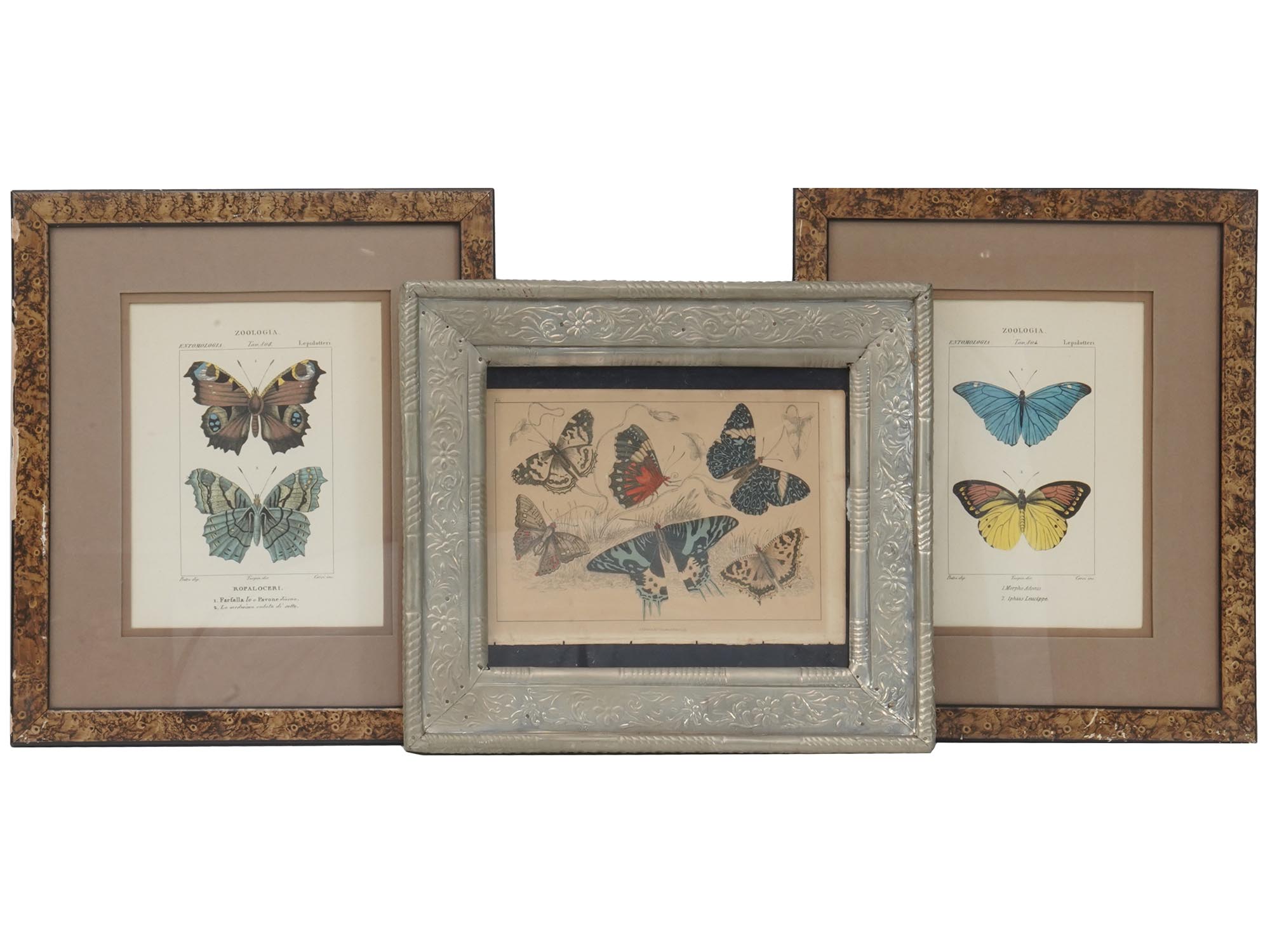 FRAMED BUTTERFLY PRINTS BY P. TURPIN, M.S. MERIAN